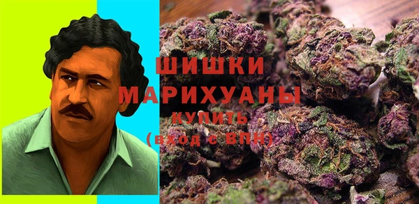 apvp Арсеньев