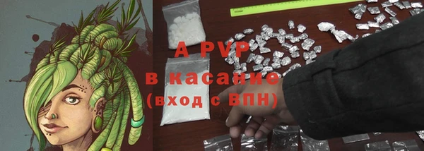 индика Аркадак
