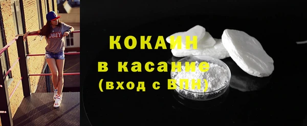 индика Аркадак