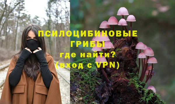 apvp Арсеньев