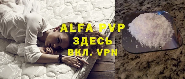 индика Аркадак