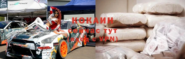 индика Аркадак